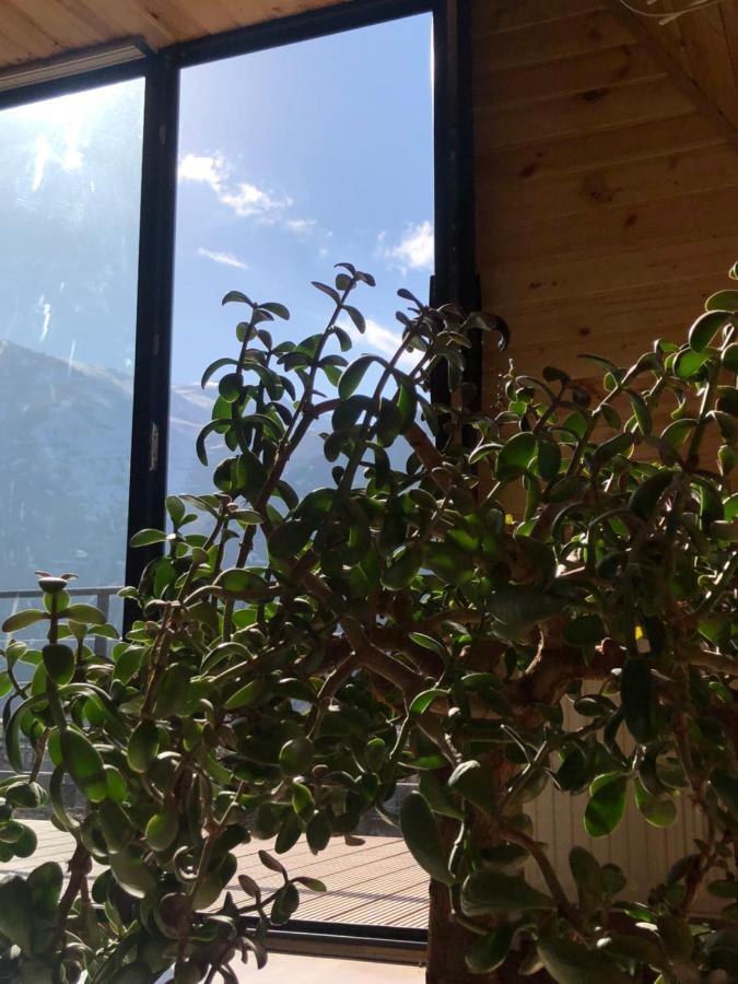 Alagi Cottage Kazbegi Esterno foto