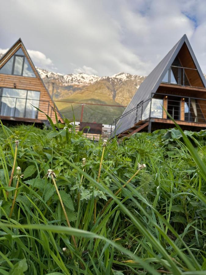 Alagi Cottage Kazbegi Esterno foto